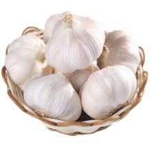 Hot Sale New Crop High Quality White Fresh Garlic